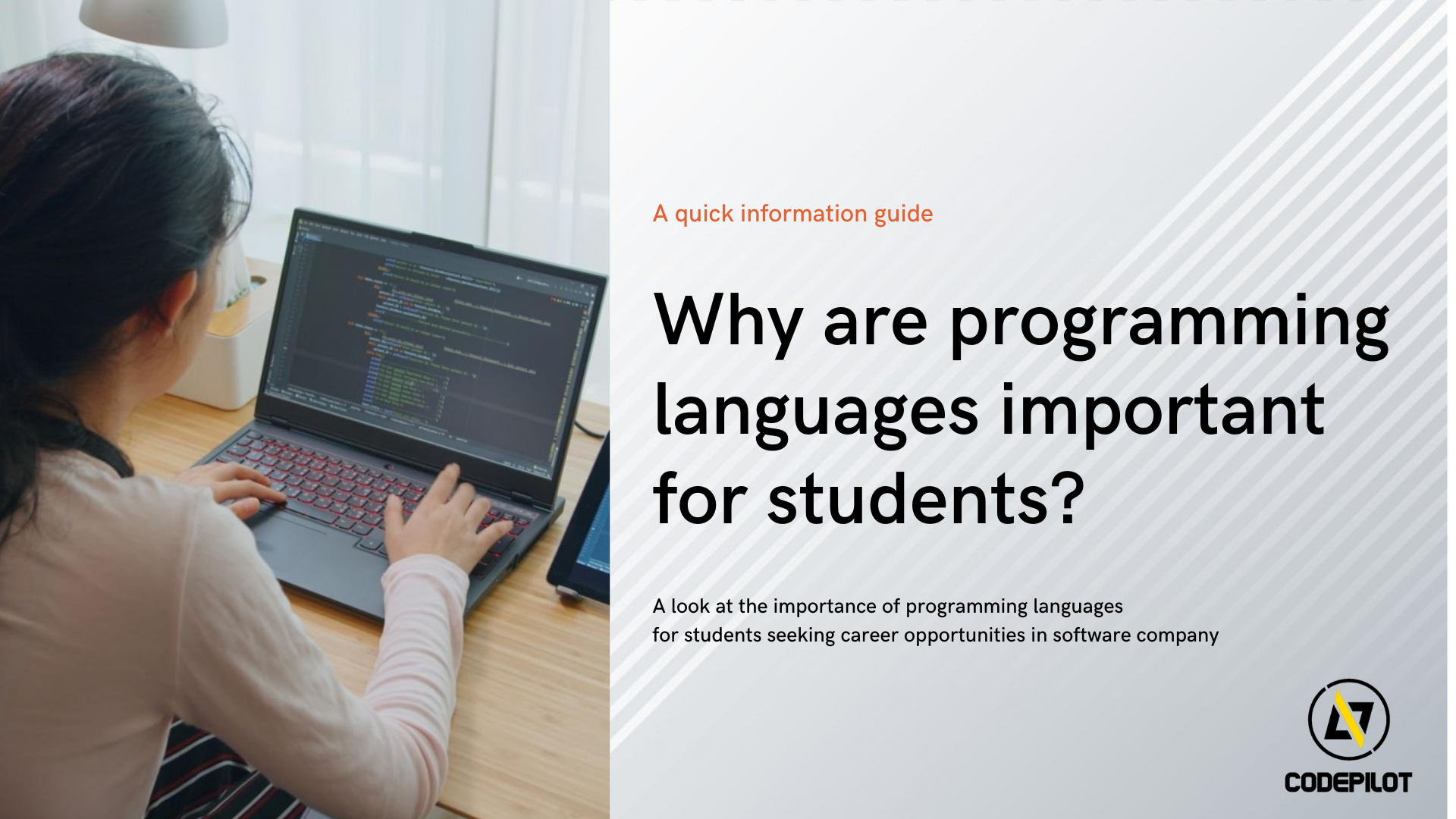 Why are Programming Languages important for students?